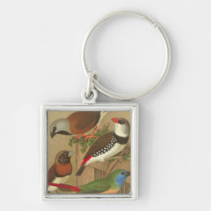Five Colorful Pet Birds Perched on a Branch Keychain