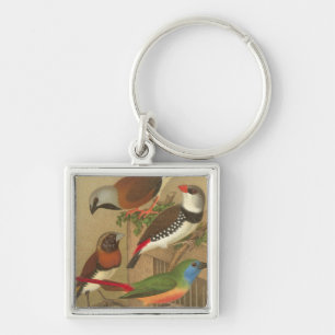 Five Colorful Pet Birds Perched on a Branch Keychain