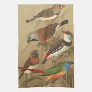 Five Colorful Pet Birds Perched on a Branch Kitchen Towel