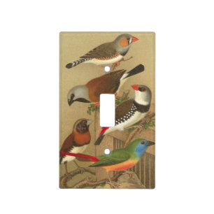 Five Colorful Pet Birds Perched on a Branch Light Switch Cover
