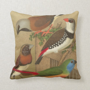 Five Colorful Pet Birds Perched on a Branch Throw Pillow