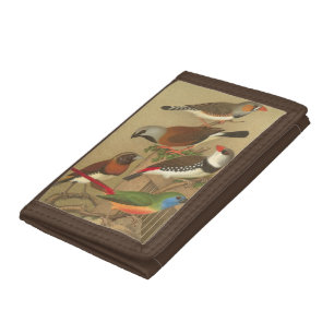 Five Colorful Pet Birds Perched on a Branch Trifold Wallet