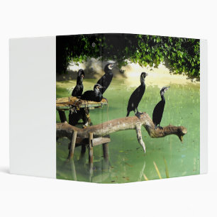 Five cormorants in Spain 3 Ring Binder
