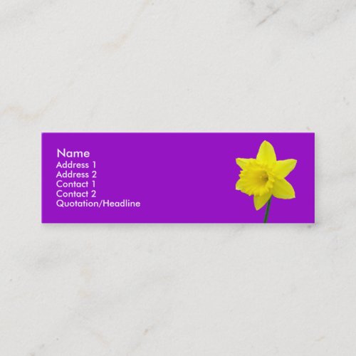 Five Daffodils Mini Business Card