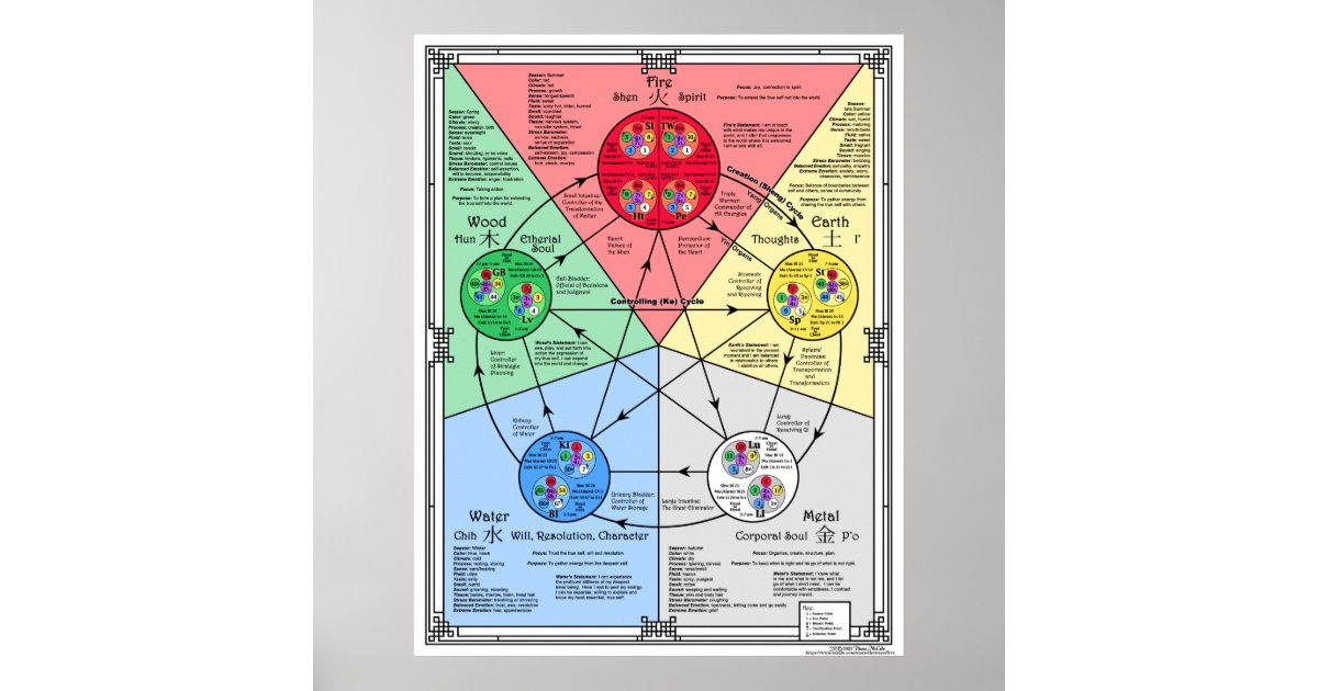 Five Element Theory for Acupressure Poster | Zazzle