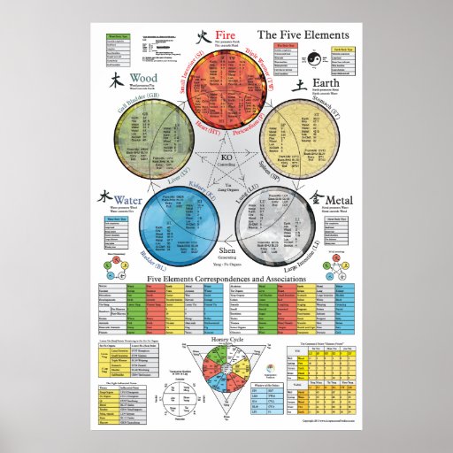 Five Elements Acupuncture Poster | Zazzle