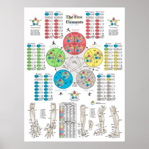 Five Elements of Acupuncture Points Poster