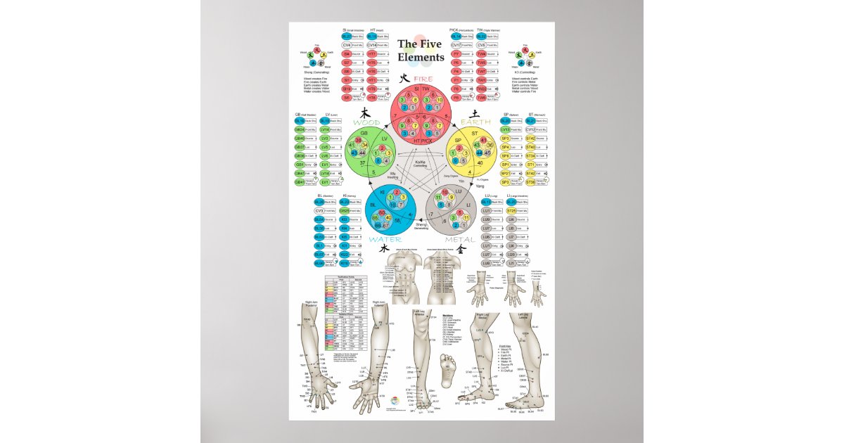 Five Elements of Acupuncture Points Poster | Zazzle