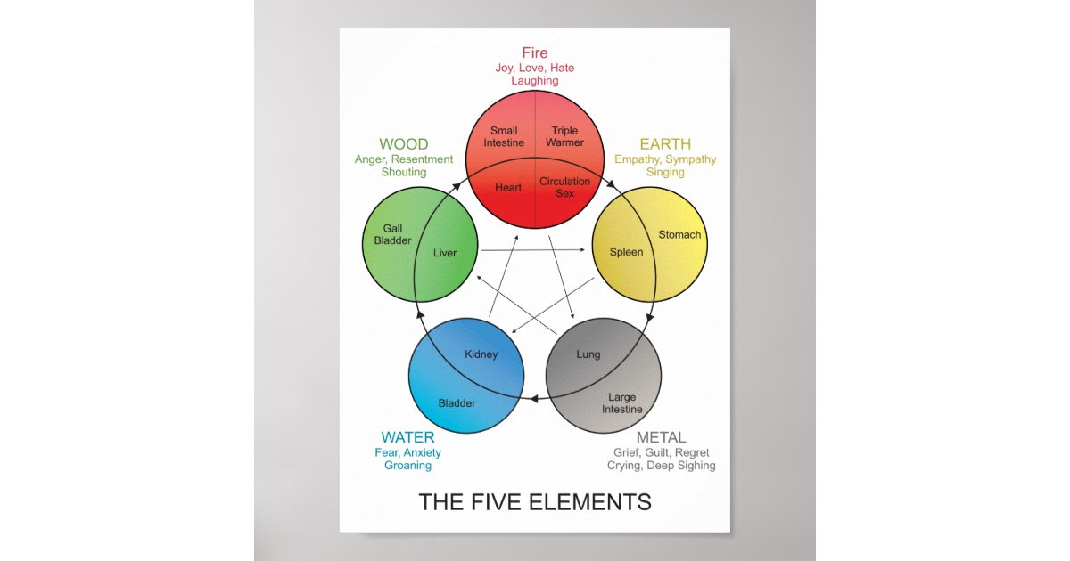 Five Elements of Acupuncture Wall Art | Zazzle