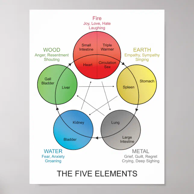Five Elements of Acupuncture Wall Art | Zazzle