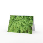 Five Finger Maidenhair Fern Card