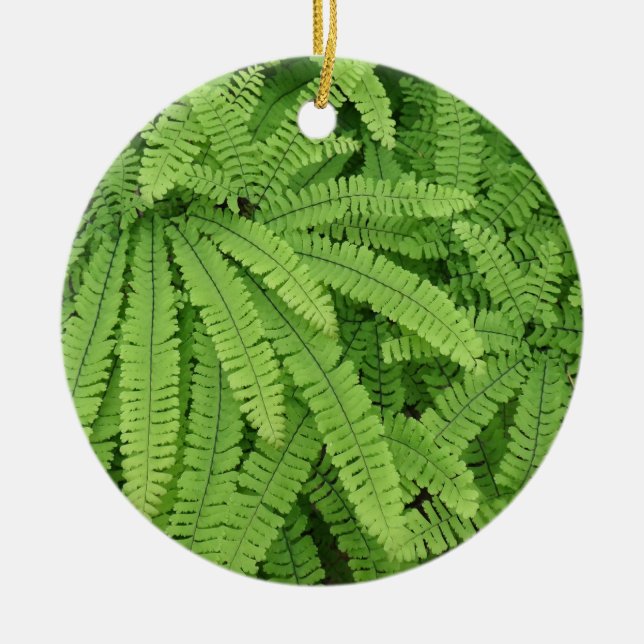 Five Finger Maidenhair Fern Ceramic Ornament (Front)