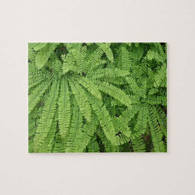 Five Finger Maidenhair Fern Jigsaw Puzzle (Horizontal)