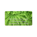 Five Finger Maidenhair Fern Label