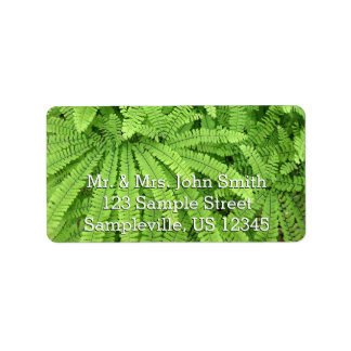 Five Finger Maidenhair Fern Label