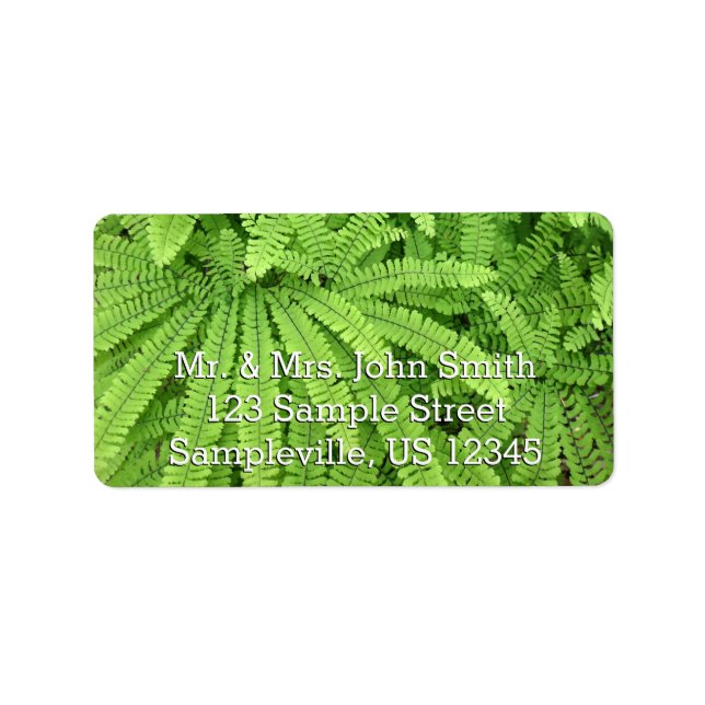 Five Finger Maidenhair Fern Label (Front)