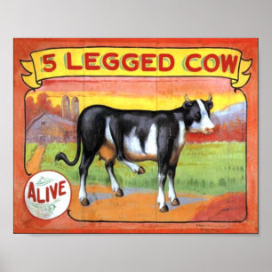 Five Legged Cow Poster