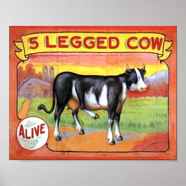 Five Legged Cow Poster (Front)