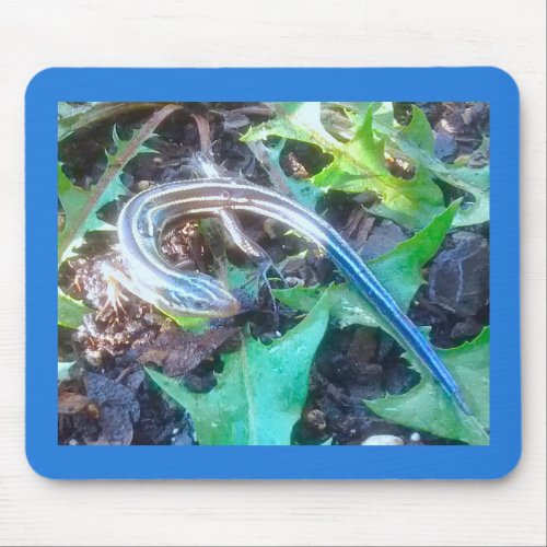Five_Lined Skink on Dandelion Leaves Horizontal Mouse Pad