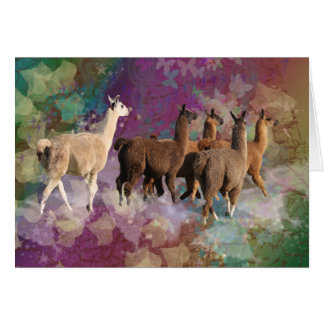 Five Llama Cloud Walk Fantasy White & Brown LLamas Cards
