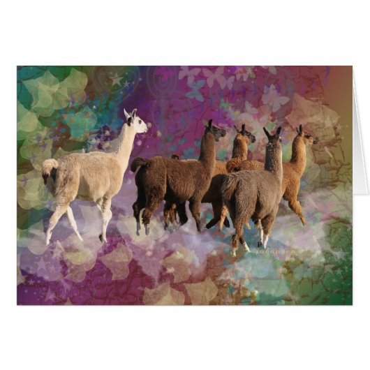 Five Llama Cloud Walk Fantasy White & Brown LLamas Cards (Front Horizontal)