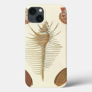 Five of a Kind Seashells iPhone 13 Case