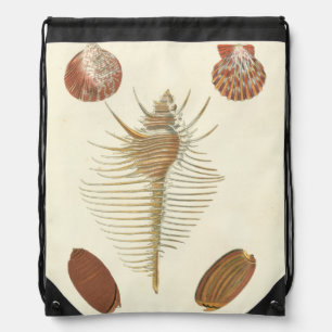 Five of a Kind Seashells Drawstring Bag