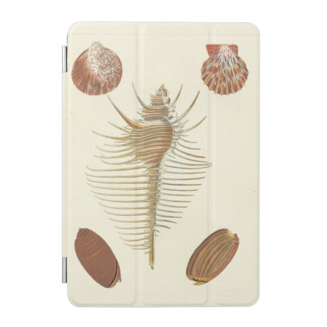 Five of a Kind Seashells iPad Mini Cover (Front)