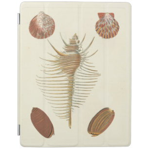 Five of a Kind Seashells iPad Smart Cover
