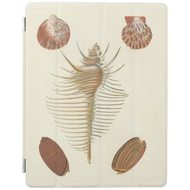 Five of a Kind Seashells iPad Smart Cover (Front)