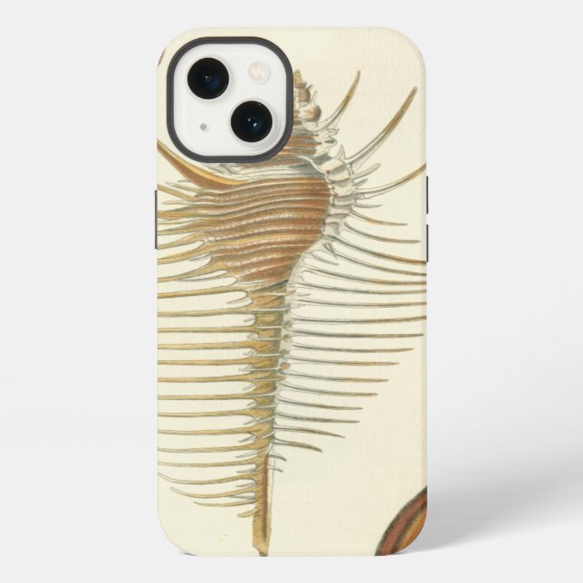 Five of a Kind Seashells Iphone Case (Back)