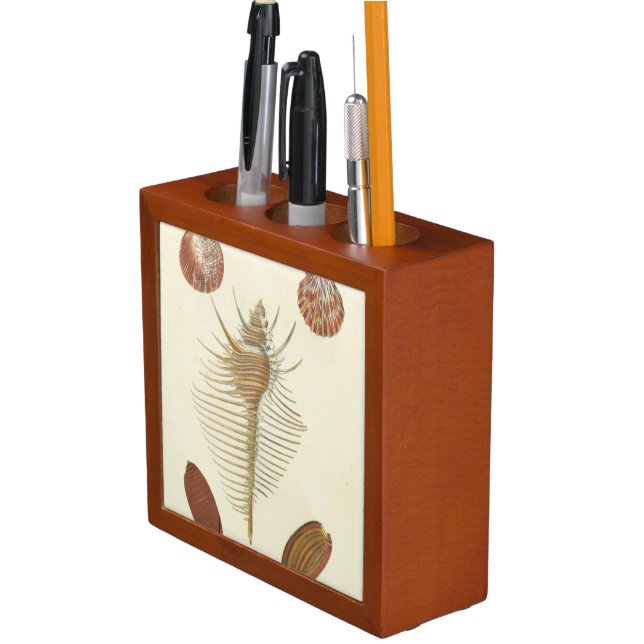 Five of a Kind Seashells Pencil Holder (In Situ)