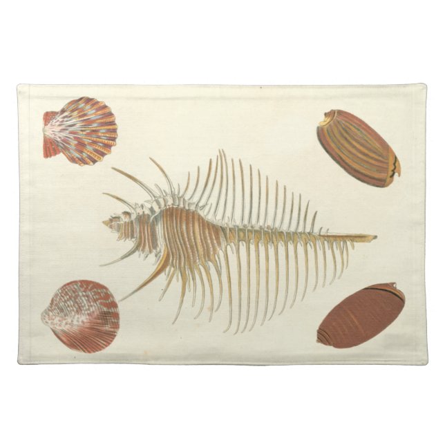 Five of a Kind Seashells Placemat (Front)