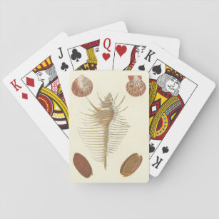 Five of a Kind Seashells Playing Cards