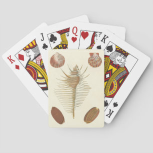 Five of a Kind Seashells Poker Cards