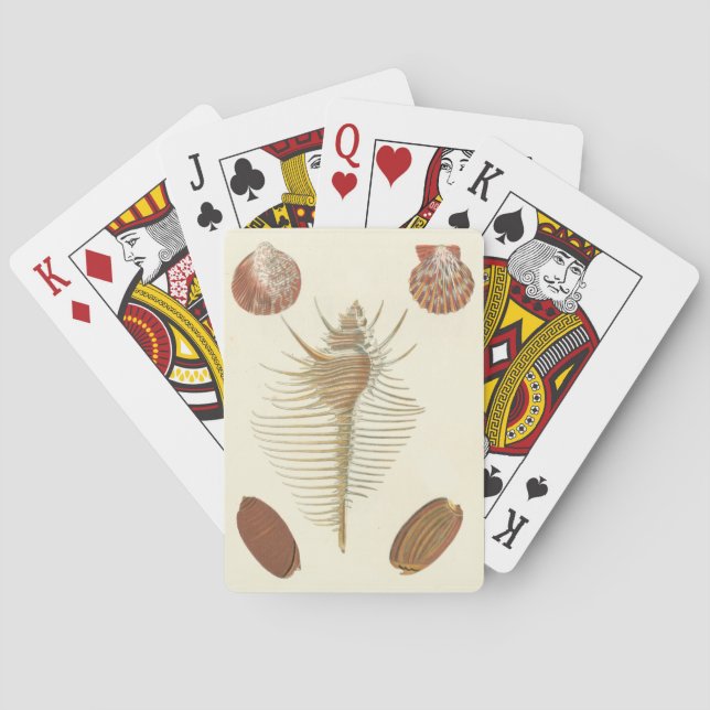 Five of a Kind Seashells Poker Cards (Back)