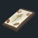 Five of a Kind Seashells Tri-fold Wallet<br><div class="desc">George Wolfgang Knorr is known for the delicate detail and precision of his illustrations of seashells and conches. His drawings were influenced by his own interest in science, a popular subject matter of his era. This unique piece of art by Knorr really does a great job capturing the different kinds...</div>