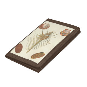 Five of a Kind Seashells Tri-fold Wallet