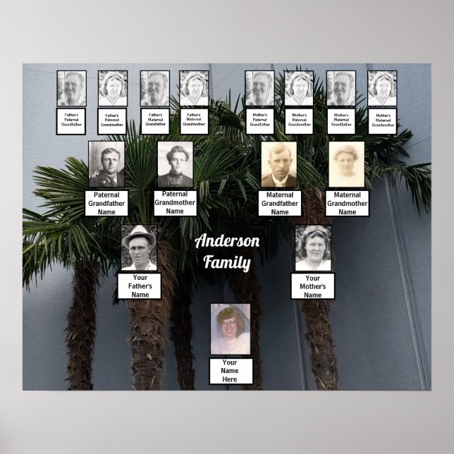 Five Palm Trees Photo Family Tree     Poster (Front)