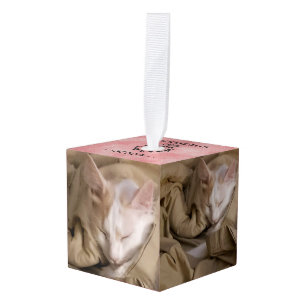 Five Photo Name Year Cat Dog Pet Cube Ornament