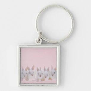 Five Rabbits 2 Keychain