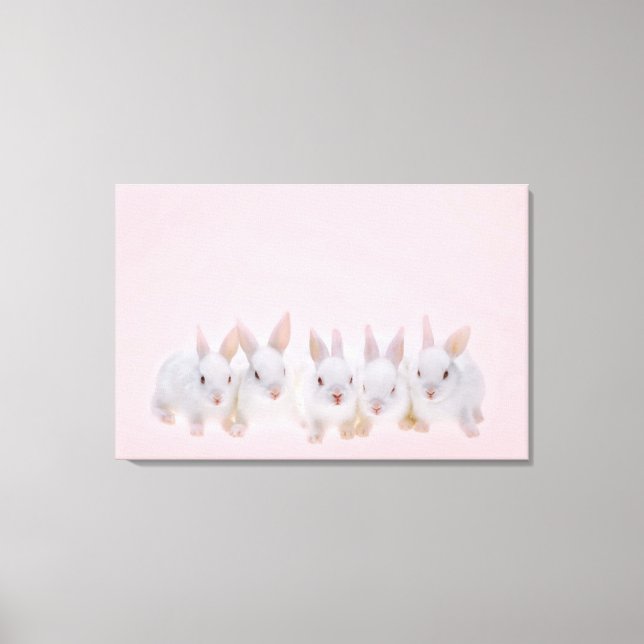 Five Rabbits Canvas Print (Front)