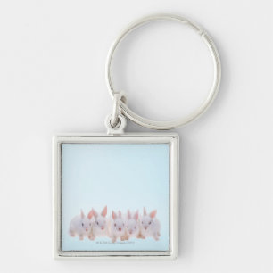 Five Rabbits Keychain