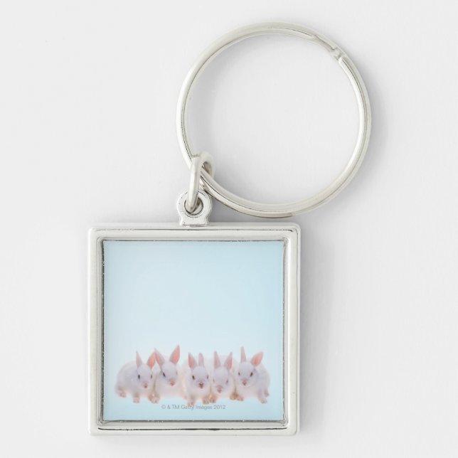 Five Rabbits Keychain (Front)