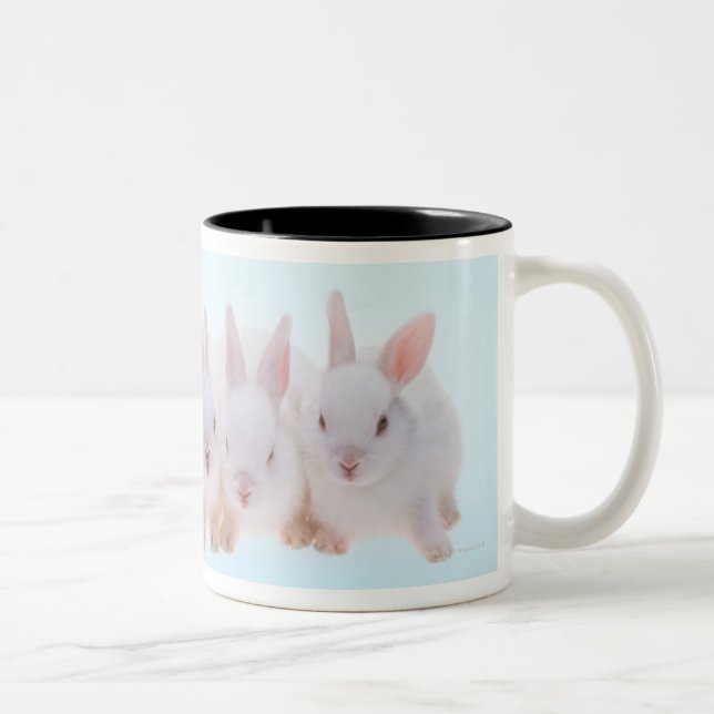 Five Rabbits Two-Tone Coffee Mug (Right)