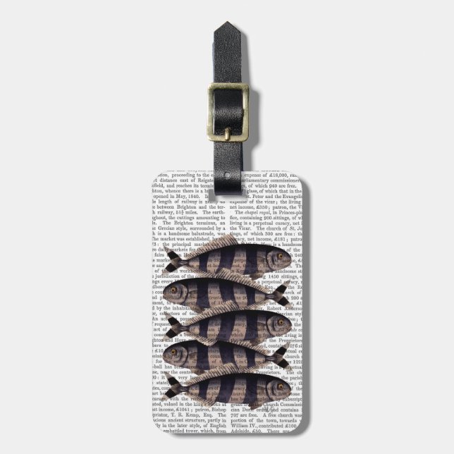 Five Striped Fish Luggage Tag (Front Vertical)