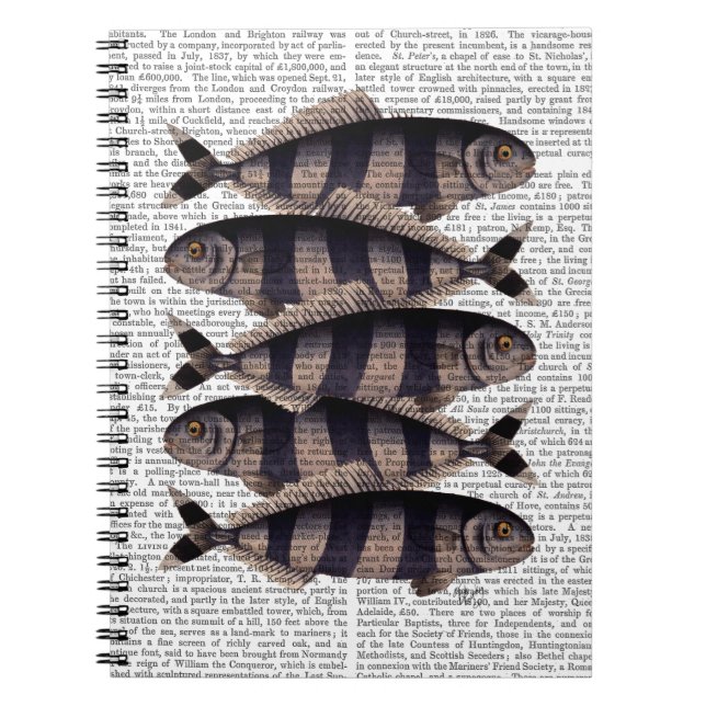 Five Striped Fish Notebook (Front)