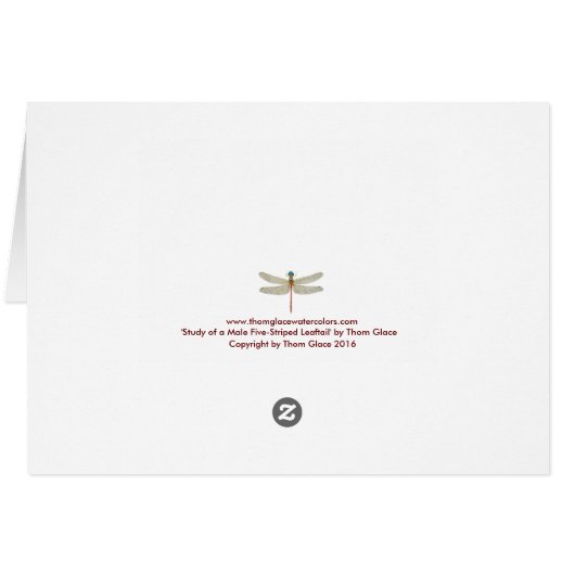 Five-Striped Leaftail Dragonfly (Back Horizontal)