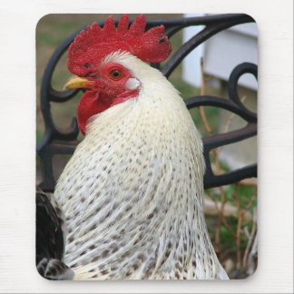 Five Toes Rooster Photo Mouse Pad