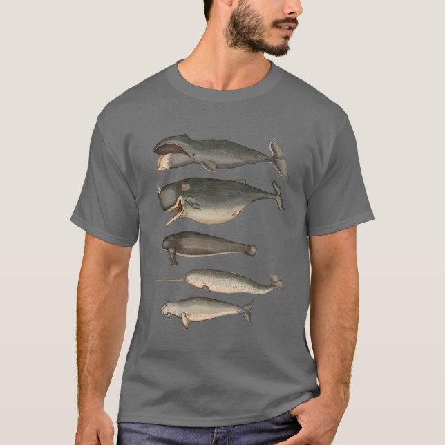 Five Vintage Whales T-Shirt (Front)